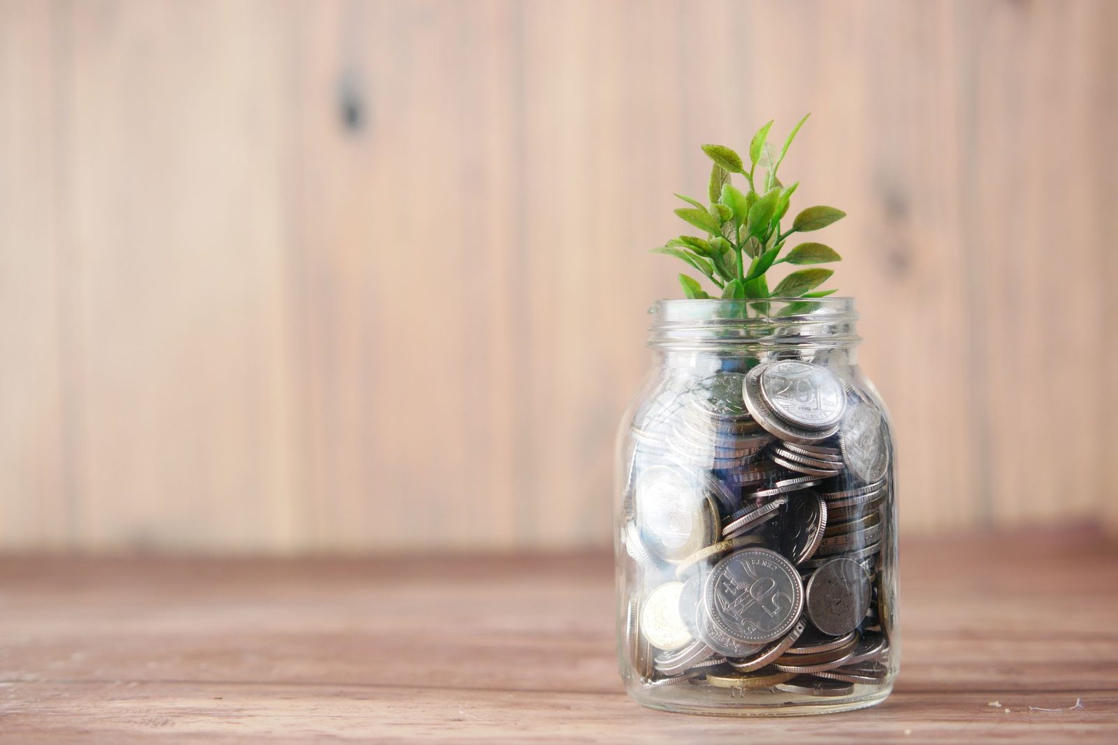 A glass jar of coins with a small plant growing from the top