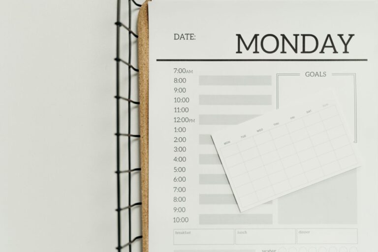 Blank daily planner page with times down the side and a small weekly grid on top